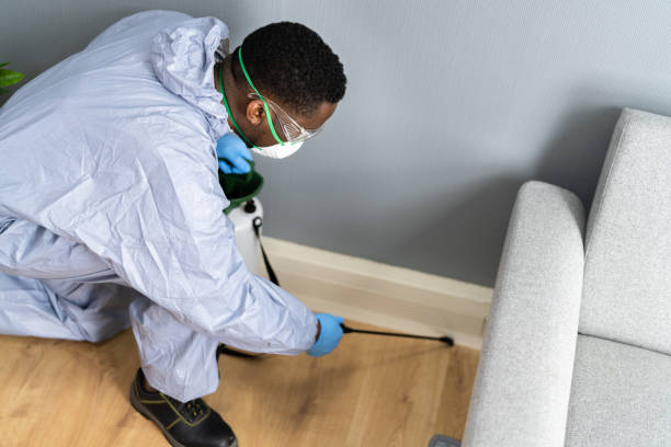 Trusted Murfreesboro, TN Pest Control Experts